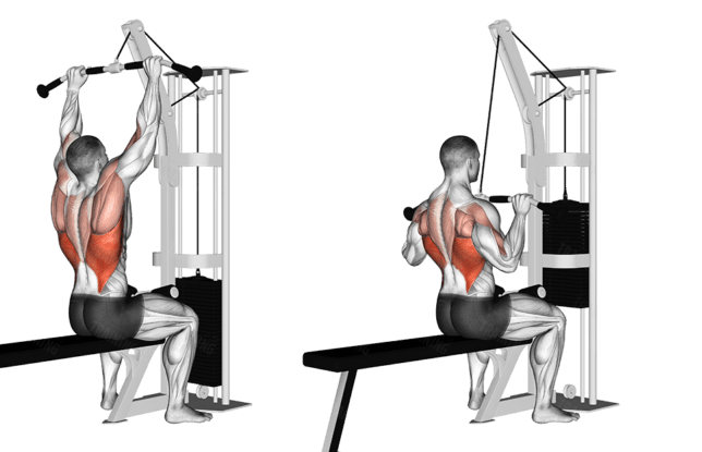 Lat Pulldown Exercise and Shoulder Stability